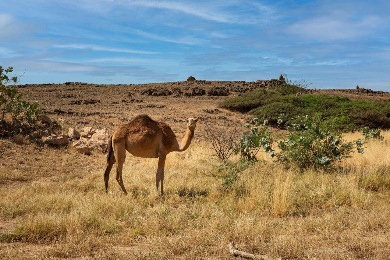 Alila Hinu Bay Salalah Mirbat Hotel Kültér fotó